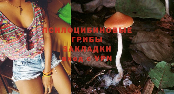 кокс Абдулино