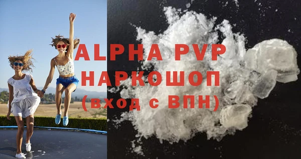 мдпв Туринск