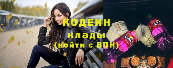 мдпв Туринск