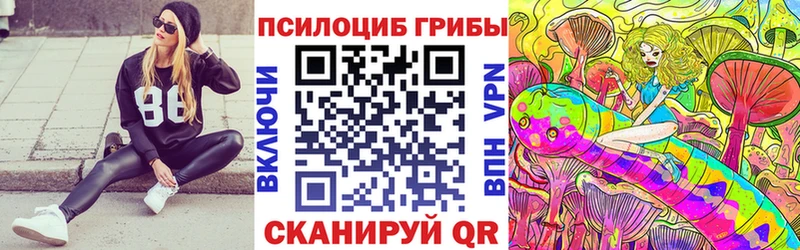 Псилоцибиновые грибы Psilocybe  Усолье 
